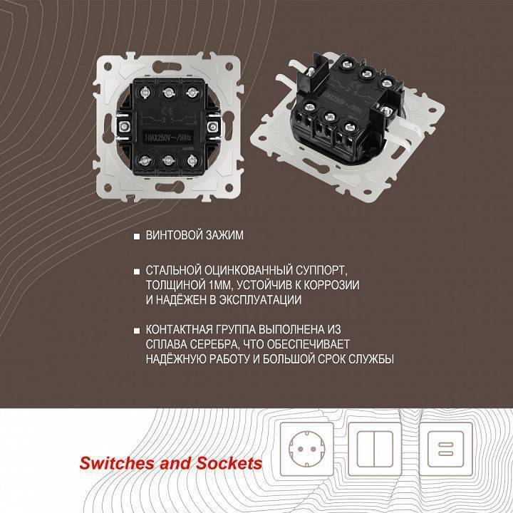 Выключатель проходной двухклавишный без рамки Arte Milano 205 205.32-2.shampan