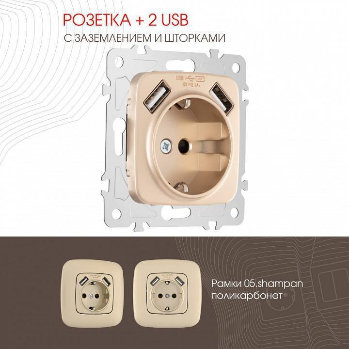 Розетка с заземлением и со шторкой и 2хUSB, без рамки Arte Milano am-205 205.47-1.shampan