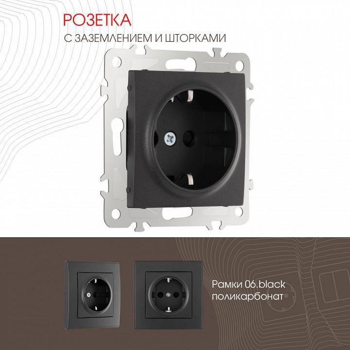 Розетка с заземлением и со шторкой, без рамки Arte Milano am-206 206.40-1.black