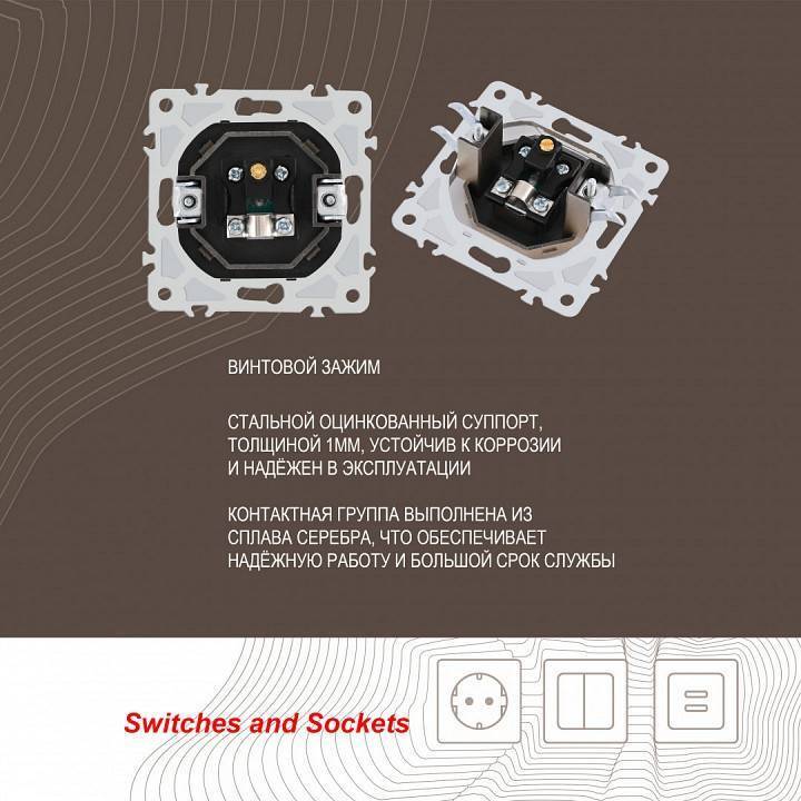 ТВ-розетка без рамки Arte Milano am-206 206.43-1.shampan