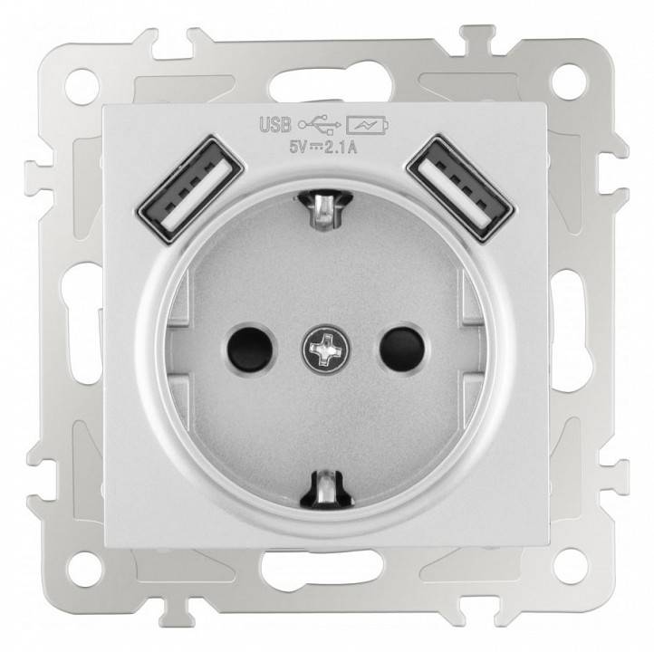 Розетка с заземлением и со шторкой и 2хUSB, без рамки Arte Milano am-206 206.47-1.silver