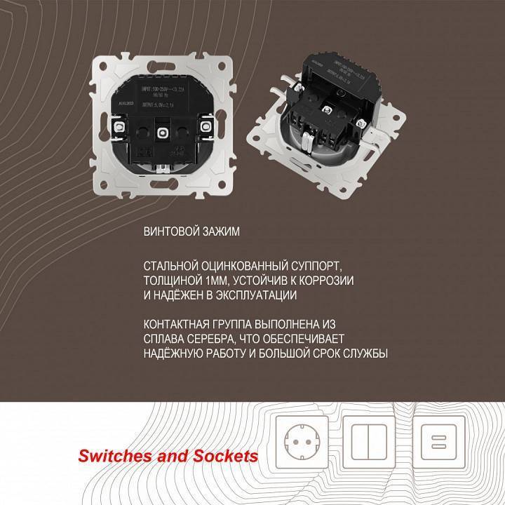 Розетка с заземлением и со шторкой и 2хUSB, без рамки Arte Milano am-206 206.47-1.silver