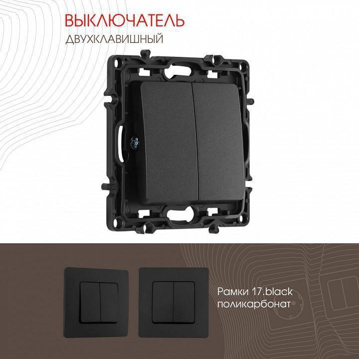 Выключатель двухклавишный без рамки Arte Milano 217 217.30-2.black