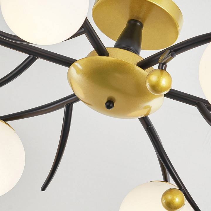 Потолочная люстра Arte Milano Neapolis 273408/6 BK/GD