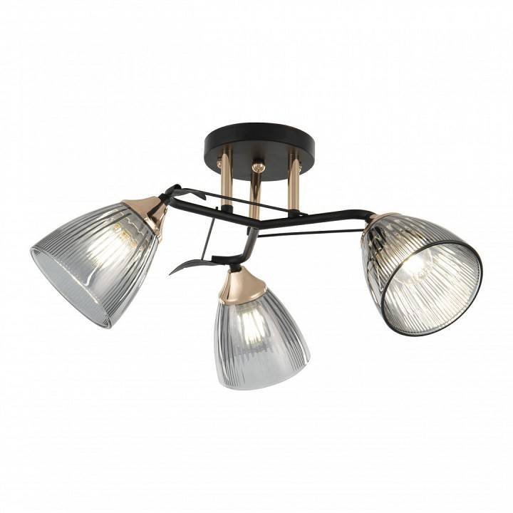 Потолочная люстра Arte Milano AMALFI 3 лампы 322610/3 BK+FG