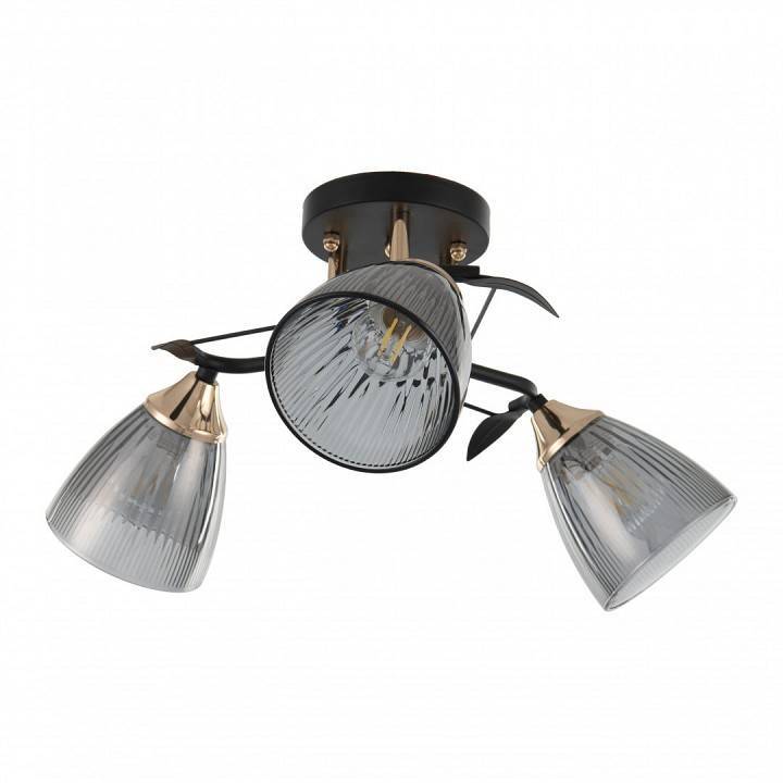 Потолочная люстра Arte Milano AMALFI 3 лампы 322610/3 BK+FG