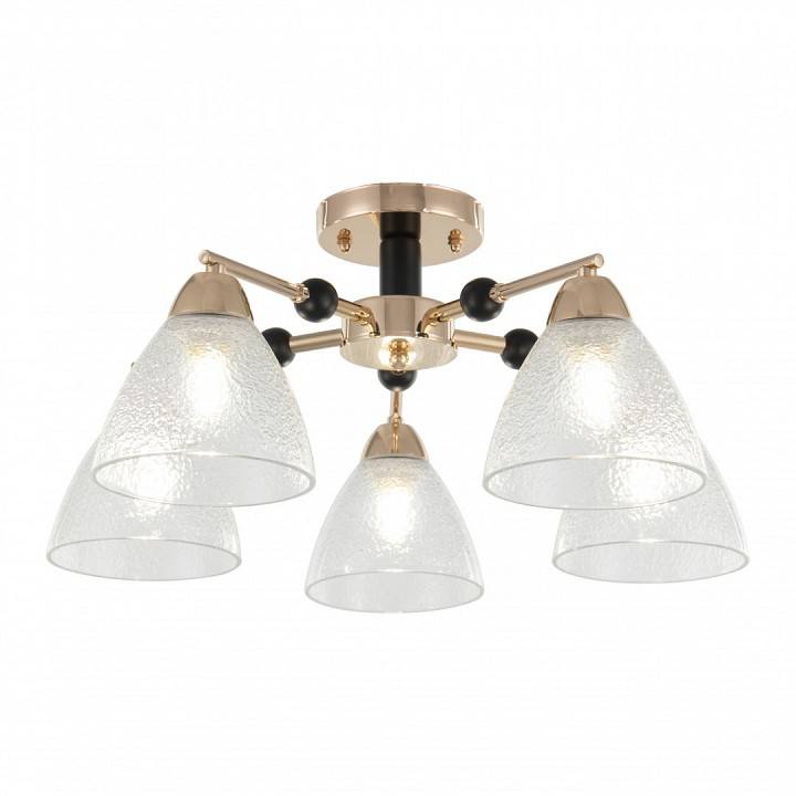 Люстра на штанге Arte Milano Napoli 5 ламп 324119/5 FG+BK