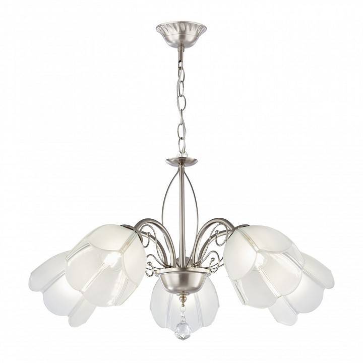 Подвесная люстра Arte Milano Amalfi-2656 5xE14 332656/5 SN