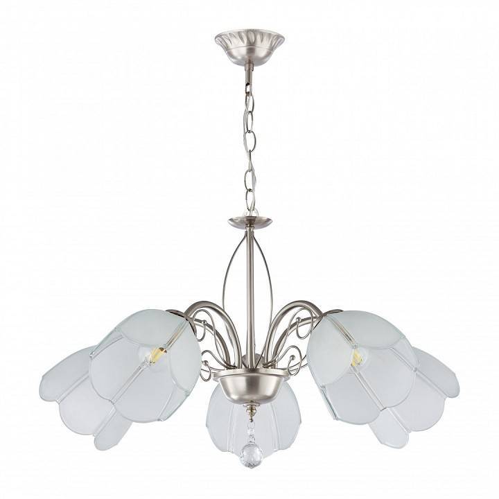 Подвесная люстра Arte Milano Amalfi-2656 5xE14 332656/5 SN