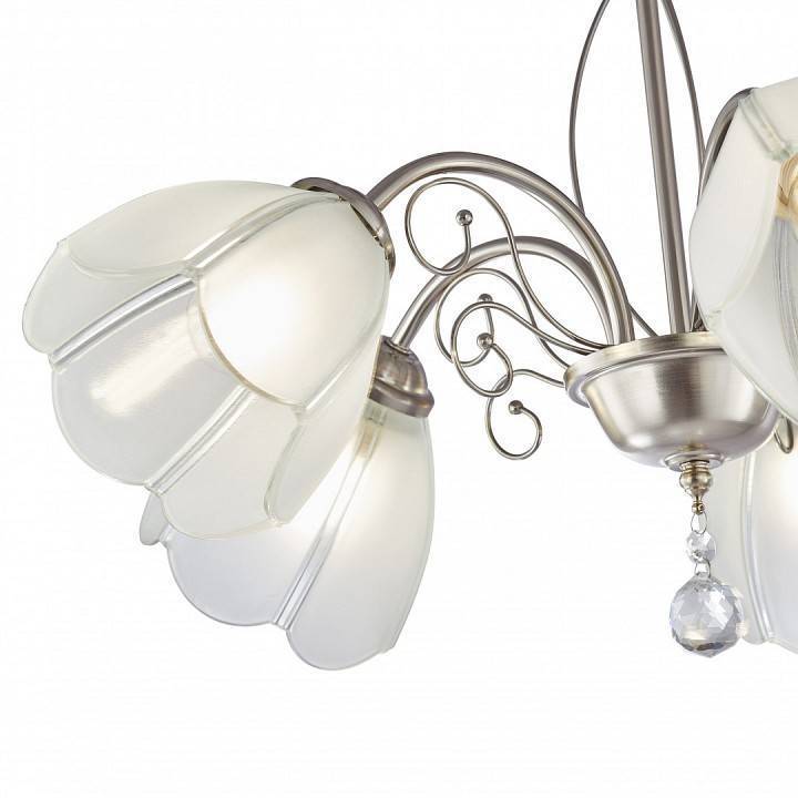 Подвесная люстра Arte Milano Amalfi-2656 5xE14 332656/5 SN