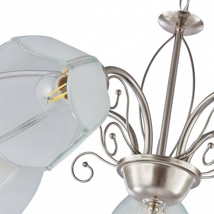 Подвесная люстра Arte Milano Amalfi-2656 5xE14 332656/5 SN