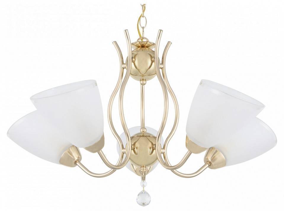 Подвесная люстра Arte Milano Amalfi-5816 5 ламп 335816/5 FGD