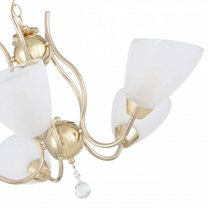 Подвесная люстра Arte Milano Amalfi-5816 5 ламп 335816/5 FGD