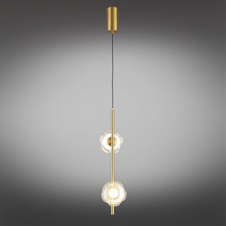 Подвесной светильник Aployt Tereze APL.074.06.02