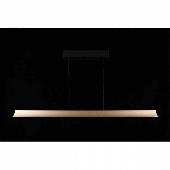 Подвесной светильник Aployt Gercia APL.786.03.38