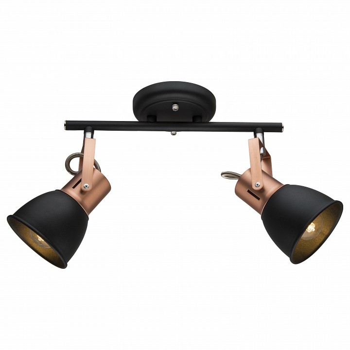 Спот Arte Lamp Jovi 2 лампы черный A1677PL-2BK