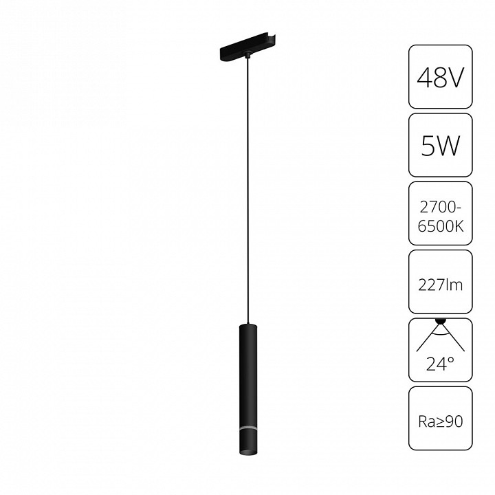 Подвесной светильник Arte Lamp Rapid A2959PL-1BK