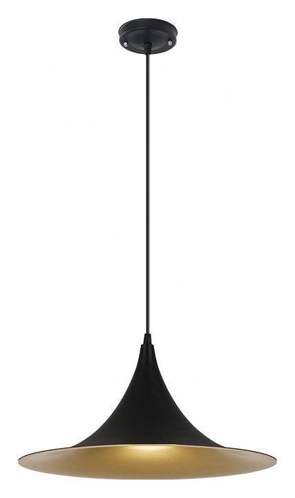 Подвесной светильник Arte Lamp Carmel A7080SP-1BK