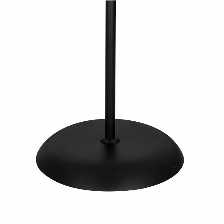 Торшер с подсветкой Arte Lamp Duetto A9569PN-2BK