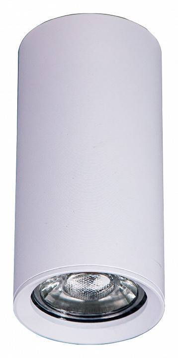 Накладной светильник Brizzi Aras BR08093