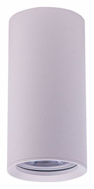 Накладной светильник Brizzi Aras BR08093