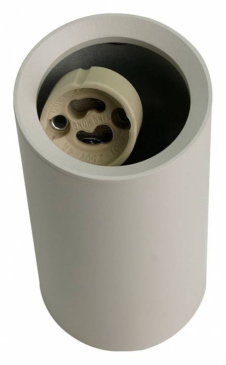 Накладной светильник Brizzi Aras BR08093