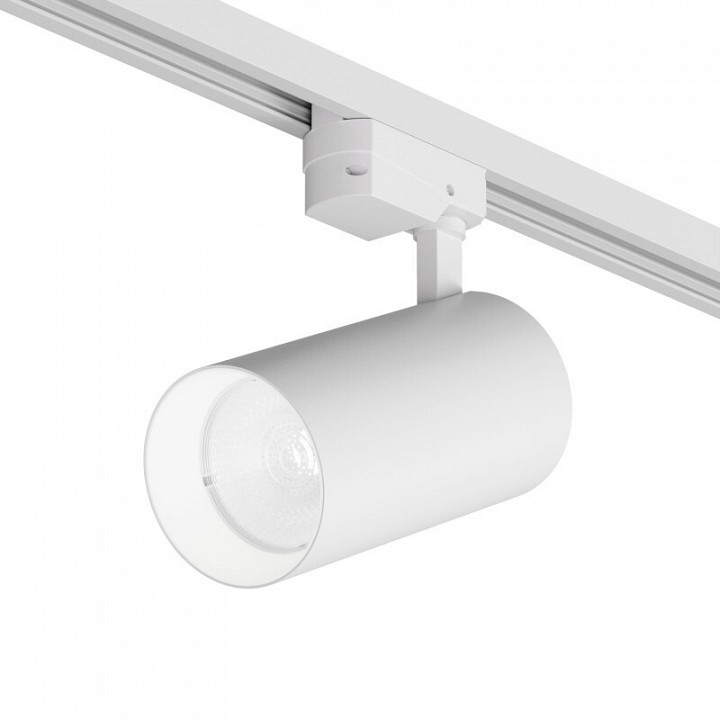 Светильник на штанге Denkirs DK6456-WH