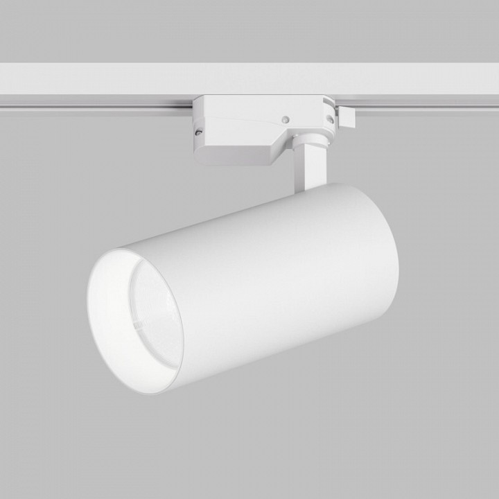 Светильник на штанге Denkirs DK6456-WH