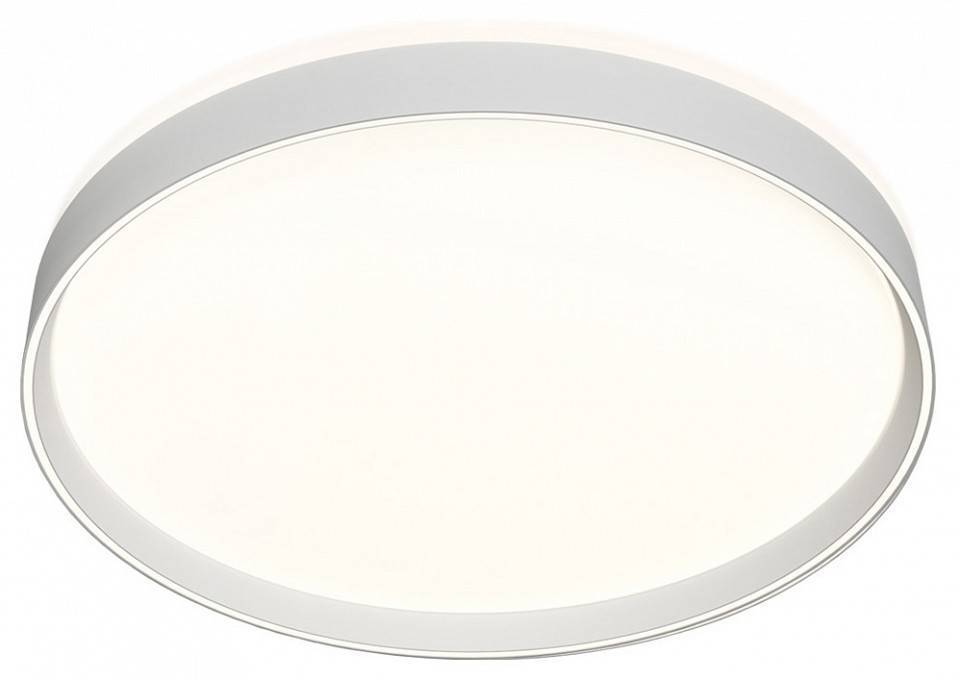 Накладной светильник Denkirs Plato DK6511-WH/1