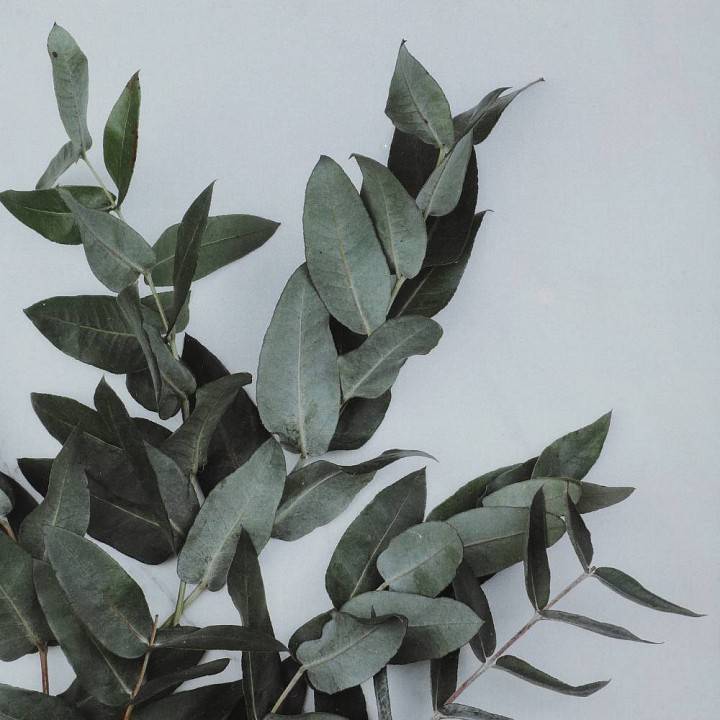 Фоторамка настольная Eglo Renabie 423006