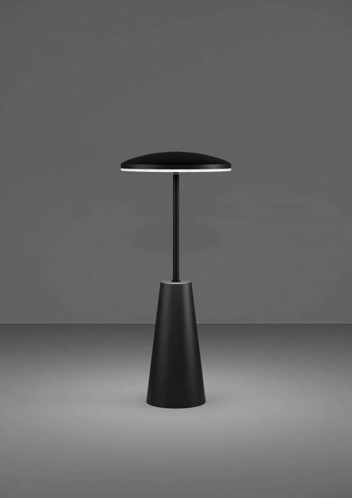 Настольная лампа декоративная Eglo PICCOLA 900925