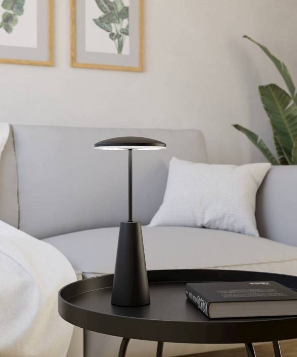 Настольная лампа декоративная Eglo PICCOLA 900925