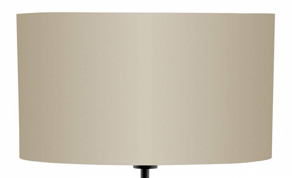 Торшер EGLO Lantada 94326