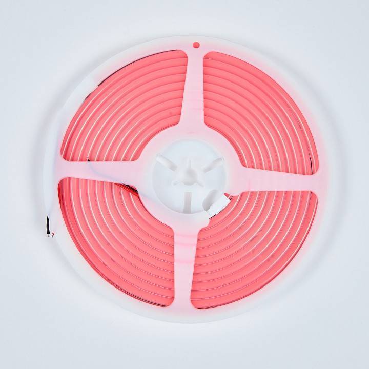 Шнур световой Eleganz  EL-N24-96P