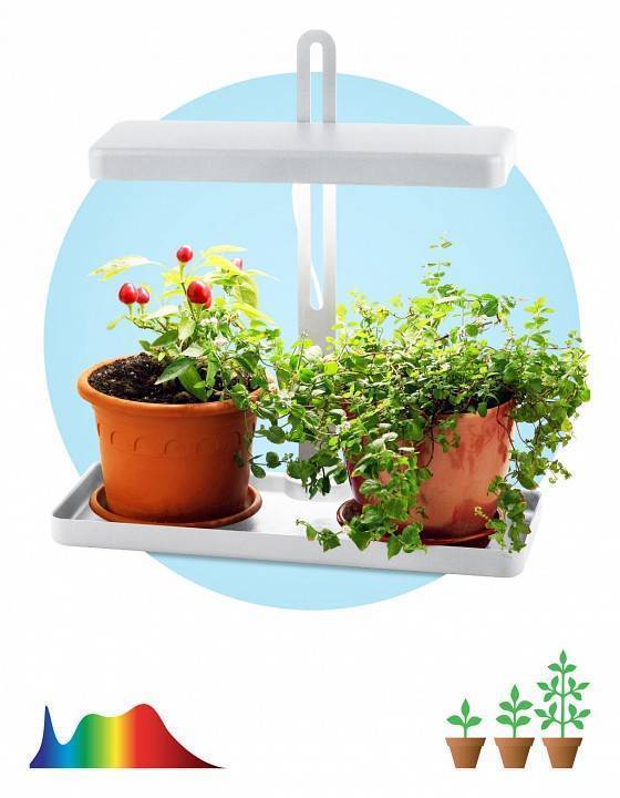 Светильник для растений ЭРА MG-I Shape-001 20 Вт