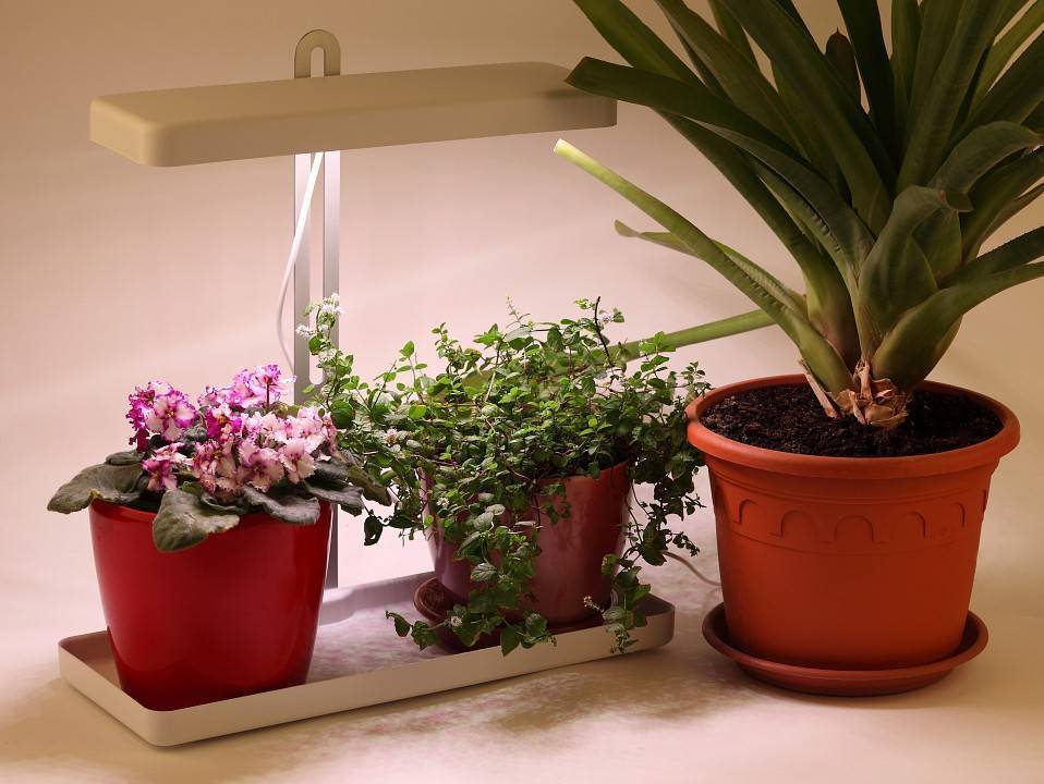 Светильник для растений ЭРА MG-I Shape-001 20 Вт