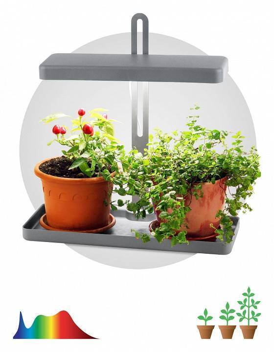 Светильник для растений ЭРА MG-I Shape-001 20 Вт