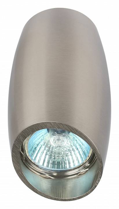 Светильник накладной ЭРА OL20 матовый никель Б0054391