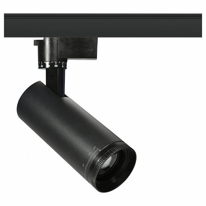 Светильник на штанге Эра  TR59 - 2030 BK