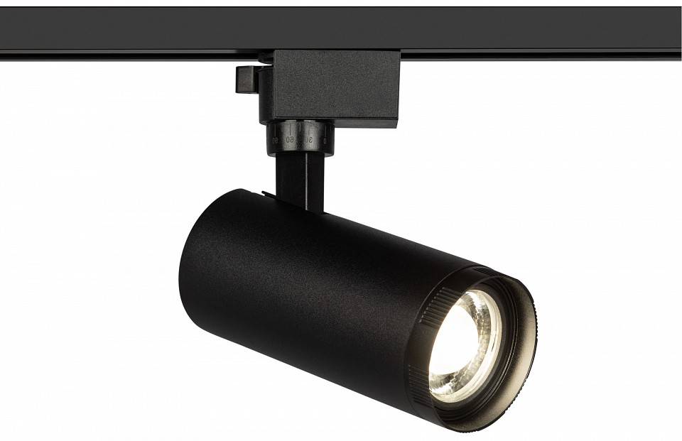 Светильник на штанге Эра  TR59 - 2040 BK