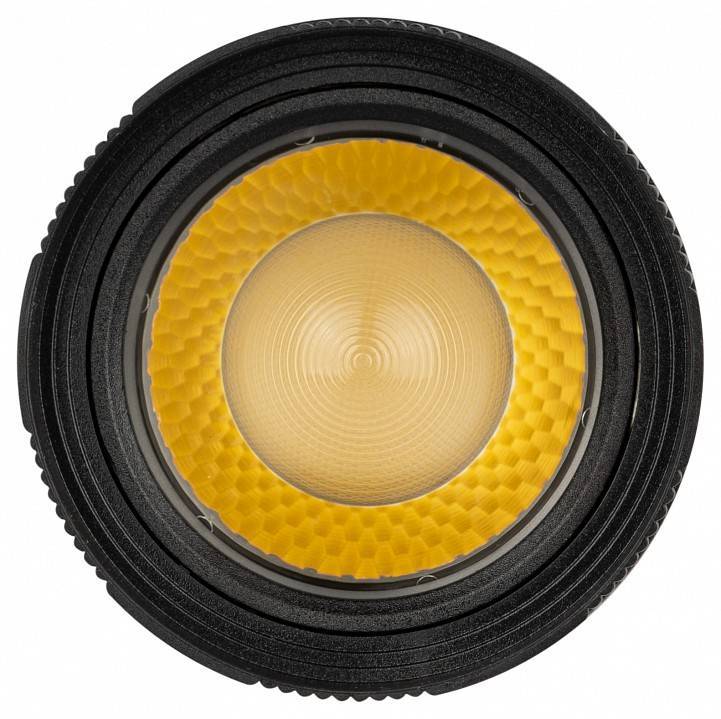 Светильник на штанге Эра  TR59 - 2040 BK