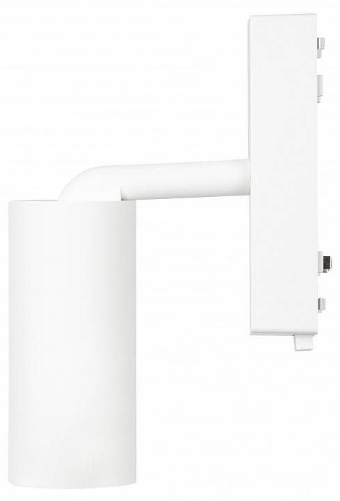 Светильник на штанге Эра  TRM-S5-3-8W4K-WH