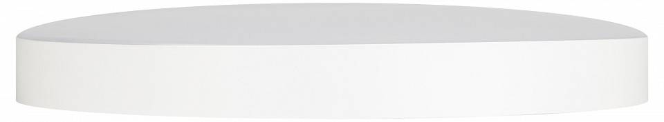 Накладной светильник Эра Relict Relict 38 SPB-6-40 4К WH