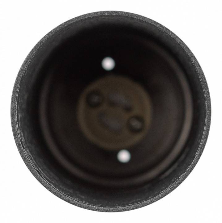 Подвесной светильник ЭРА PL27 BK Б0061367