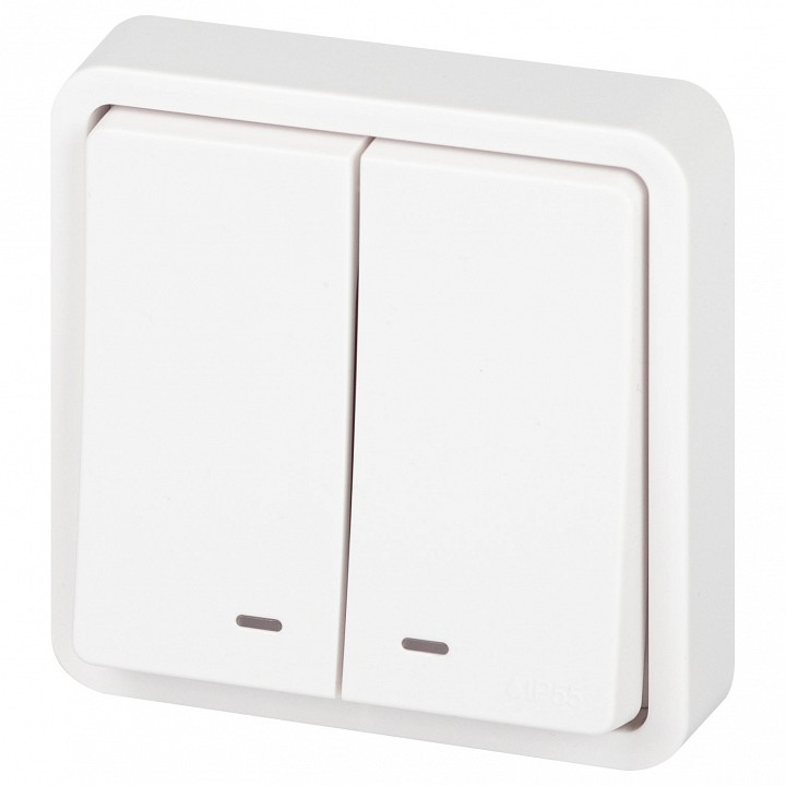 Выключатель двухклавишный с подсветкой Эра Эра Эксперт 11-1525-01