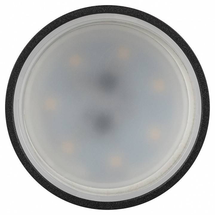 Светильник на штанге Эра  TR77 - GU10 BK