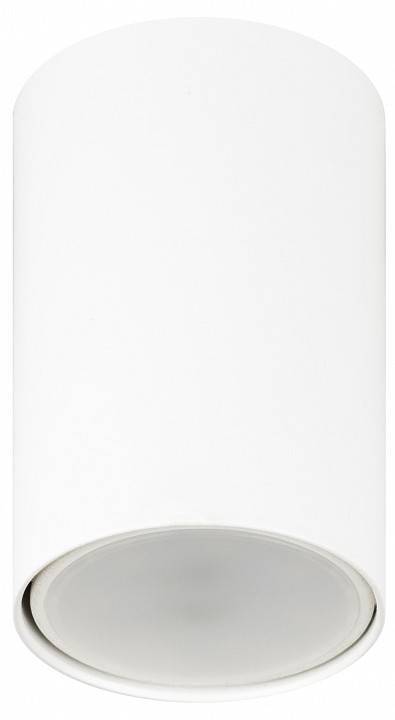 Накладной светильник Эра  OL57 WH