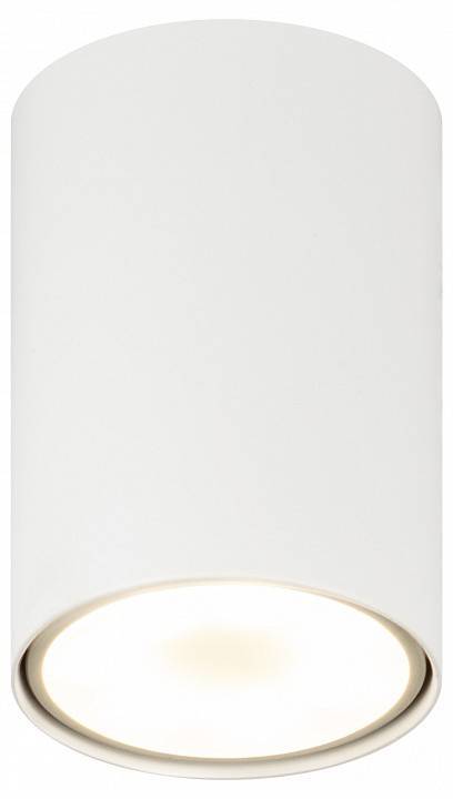 Накладной светильник Эра  OL57 WH