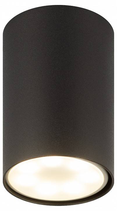 Накладной светильник Эра  OL57 BK