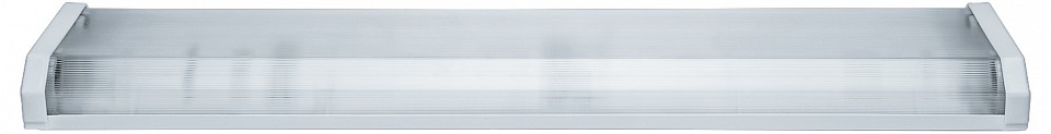 Накладной светильник Эра  DPO B 1200 2хT8 G13